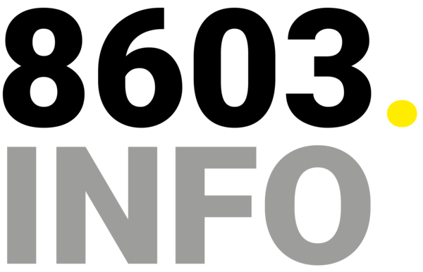 Logo von 8603.info